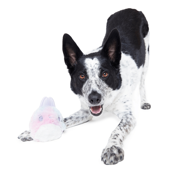 Carousel navigation image position 2 of 4