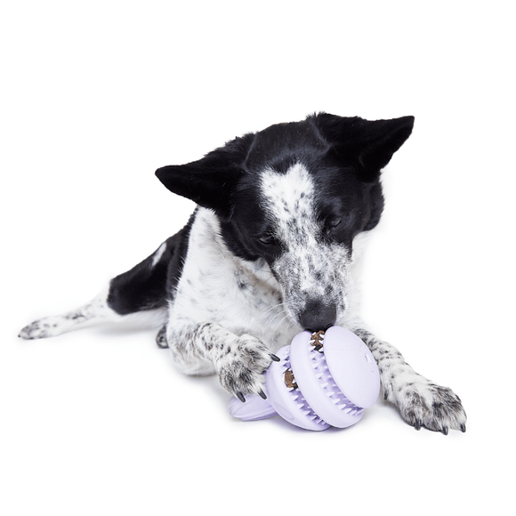 Carousel navigation image position 3 of 4