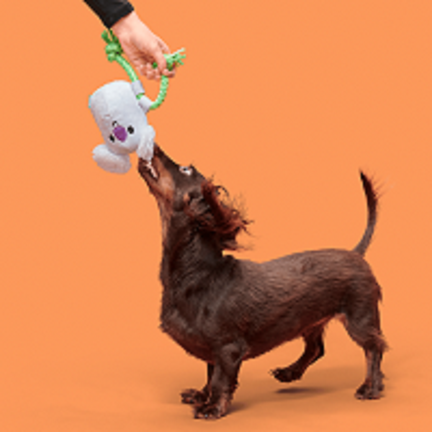 Carousel zoom image position 2 of 3