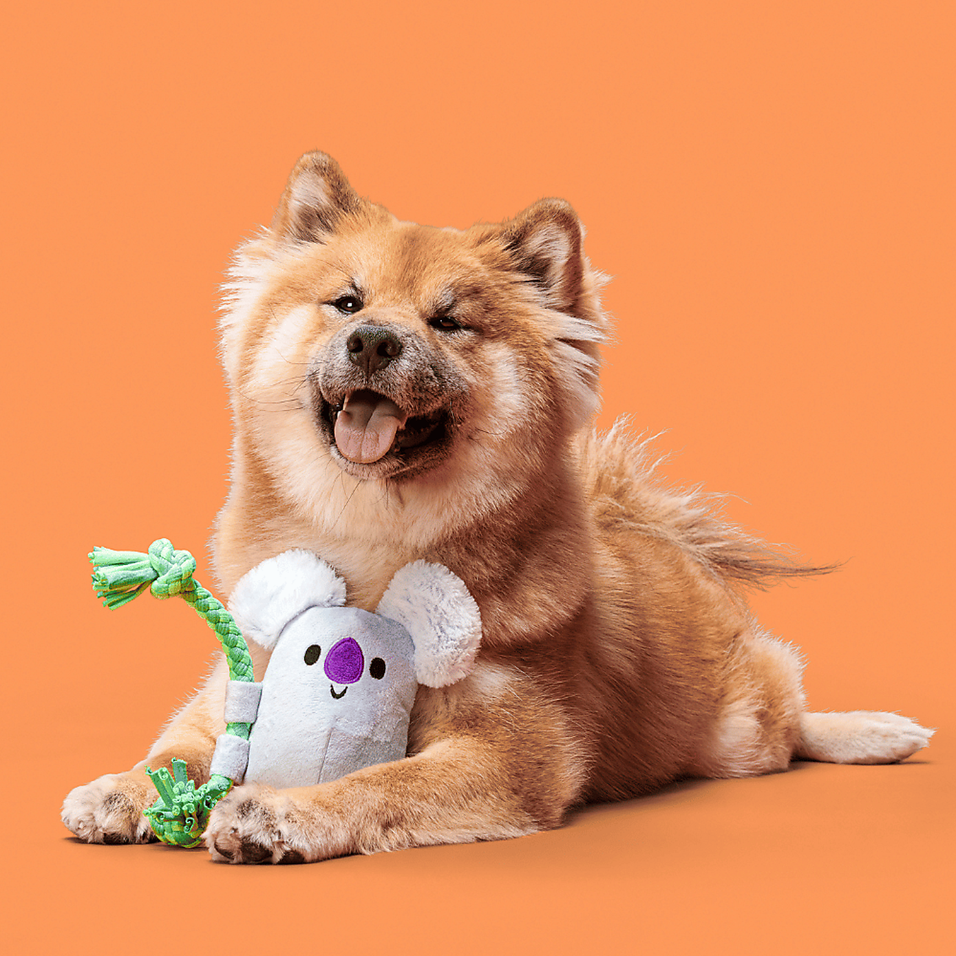 Carousel zoom image position 3 of 3