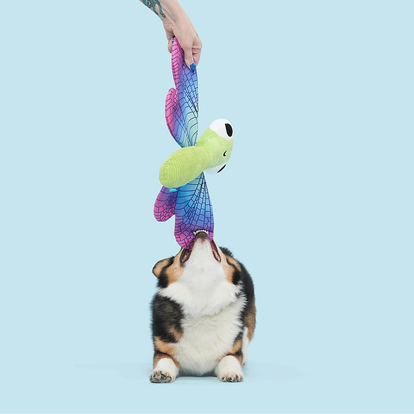 Carousel zoom image position 3 of 3