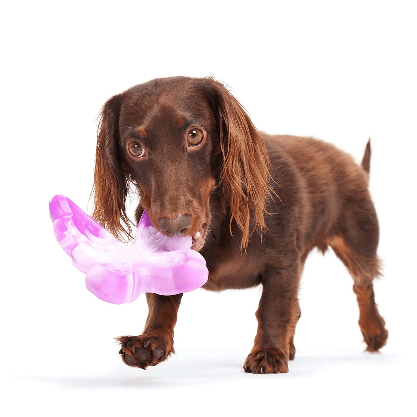 Carousel zoom image position 2 of 3