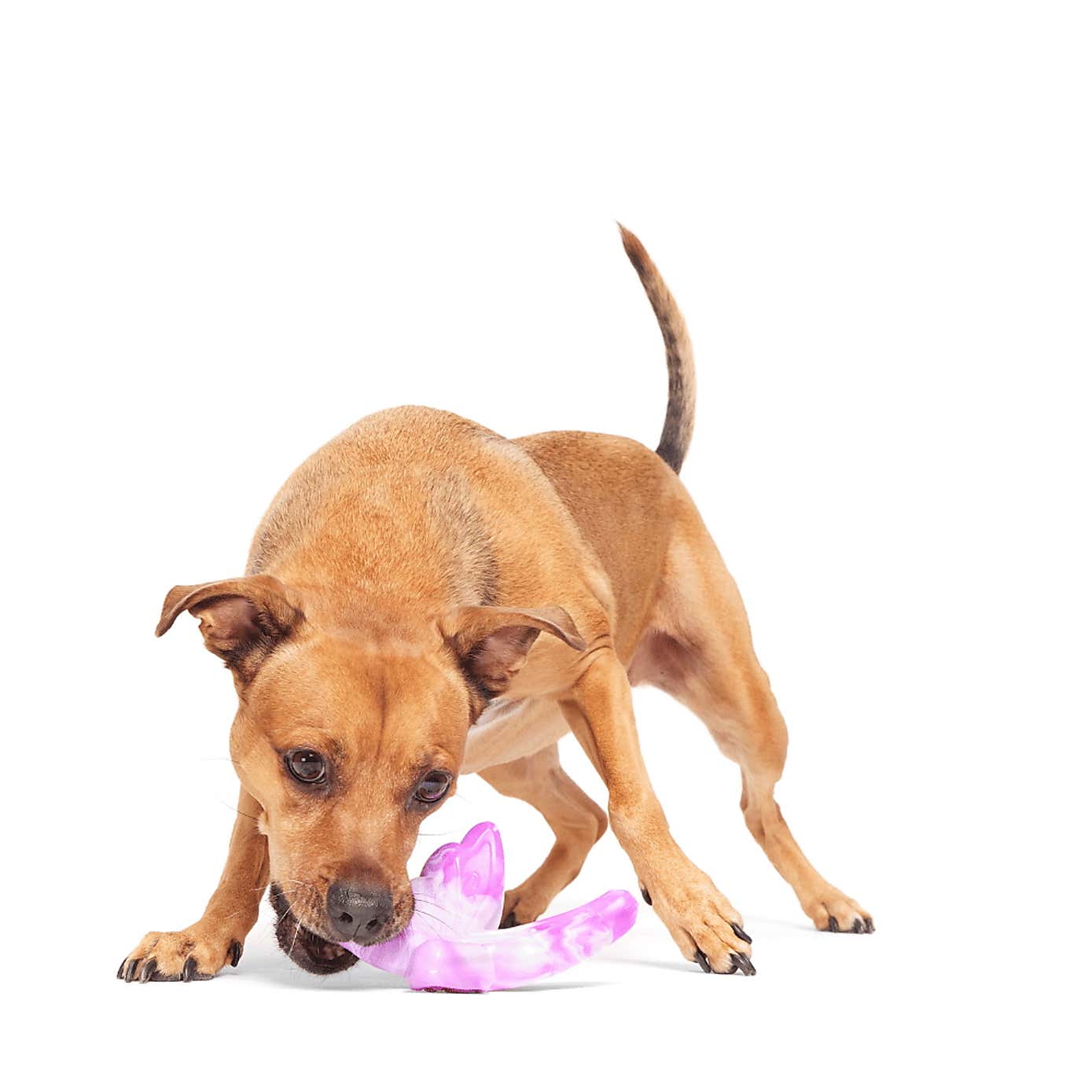 Carousel zoom image position 3 of 3