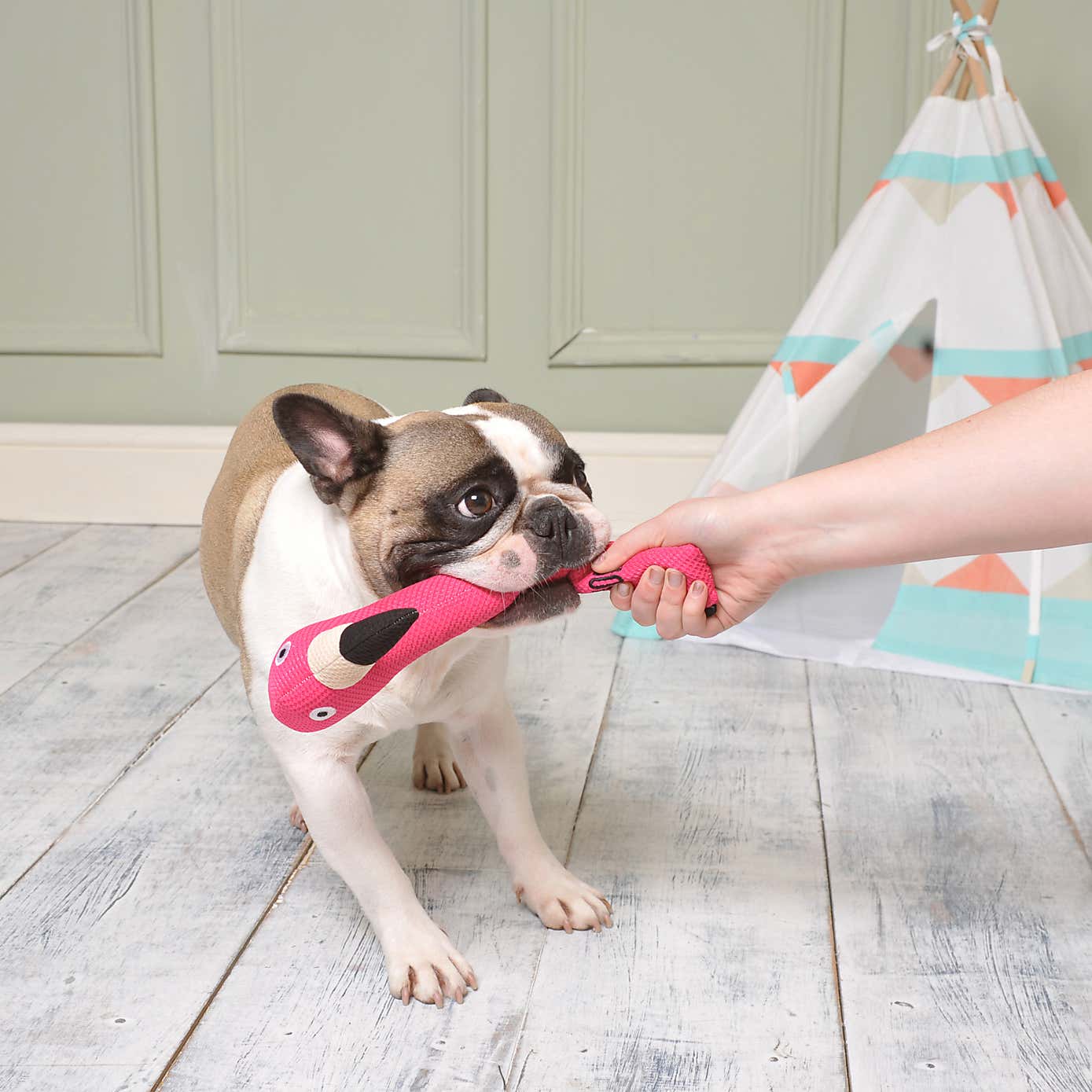 Carousel zoom image position 2 of 5