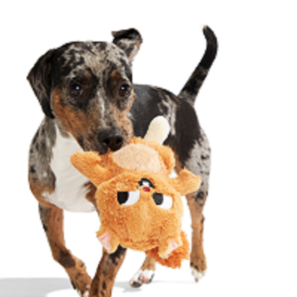 Carousel navigation image position 2 of 3