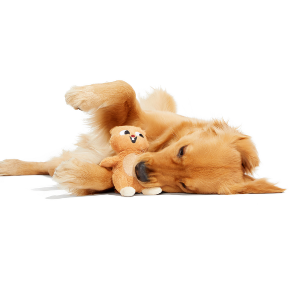 Carousel navigation image position 3 of 3