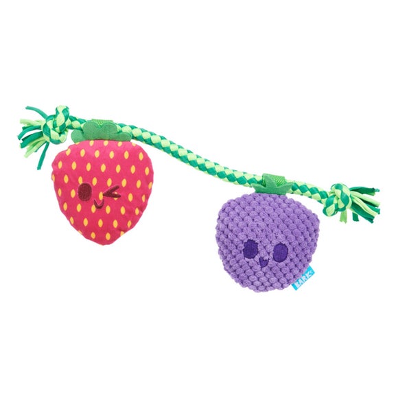 Bark Best Berry Friends Dog Toy