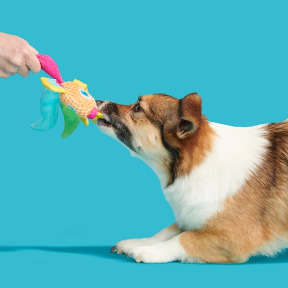 Carousel navigation image position 2 of 4