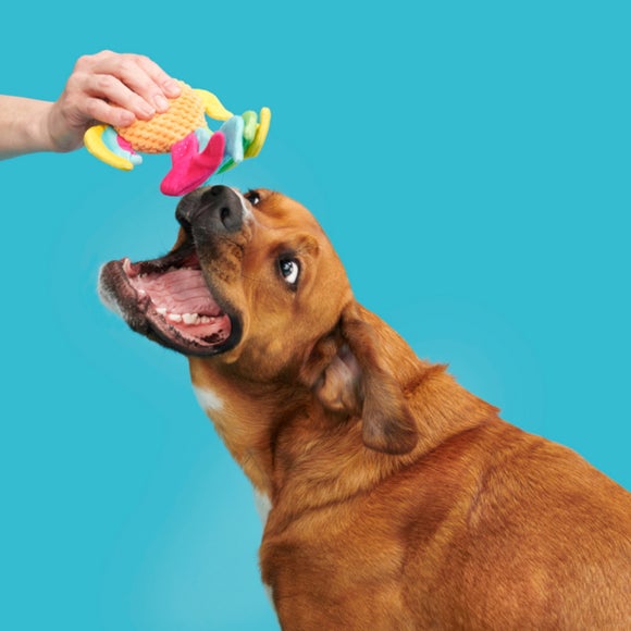 Carousel navigation image position 3 of 4