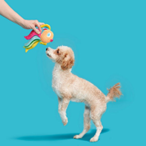 Carousel navigation image position 4 of 4