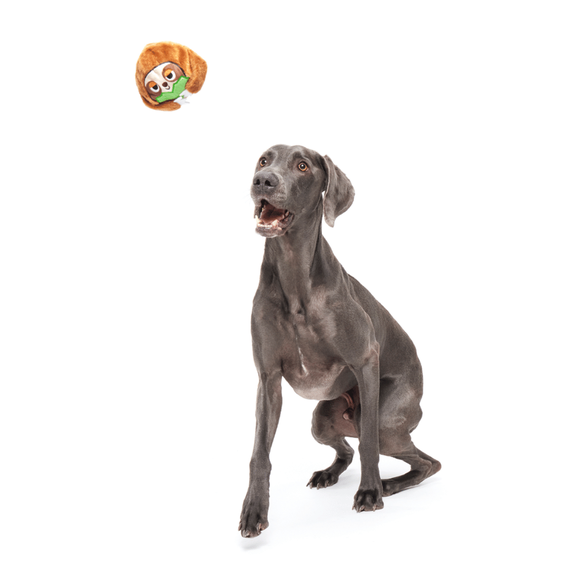 Carousel navigation image position 2 of 3