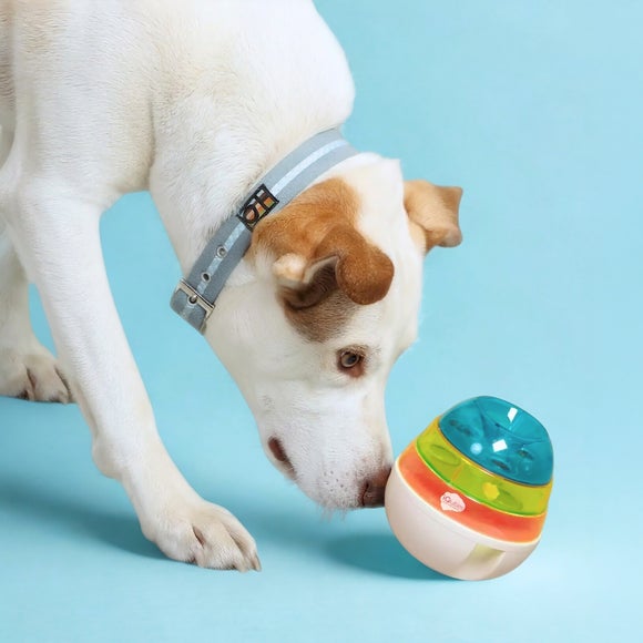 iQuties Wobbler Interactive Pet Treat Dispenser