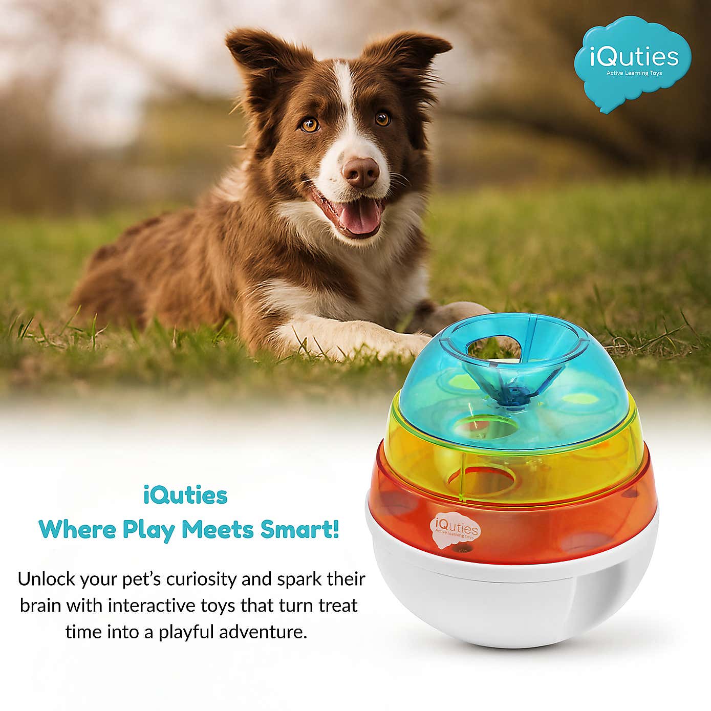 Carousel zoom image position 5 of 5