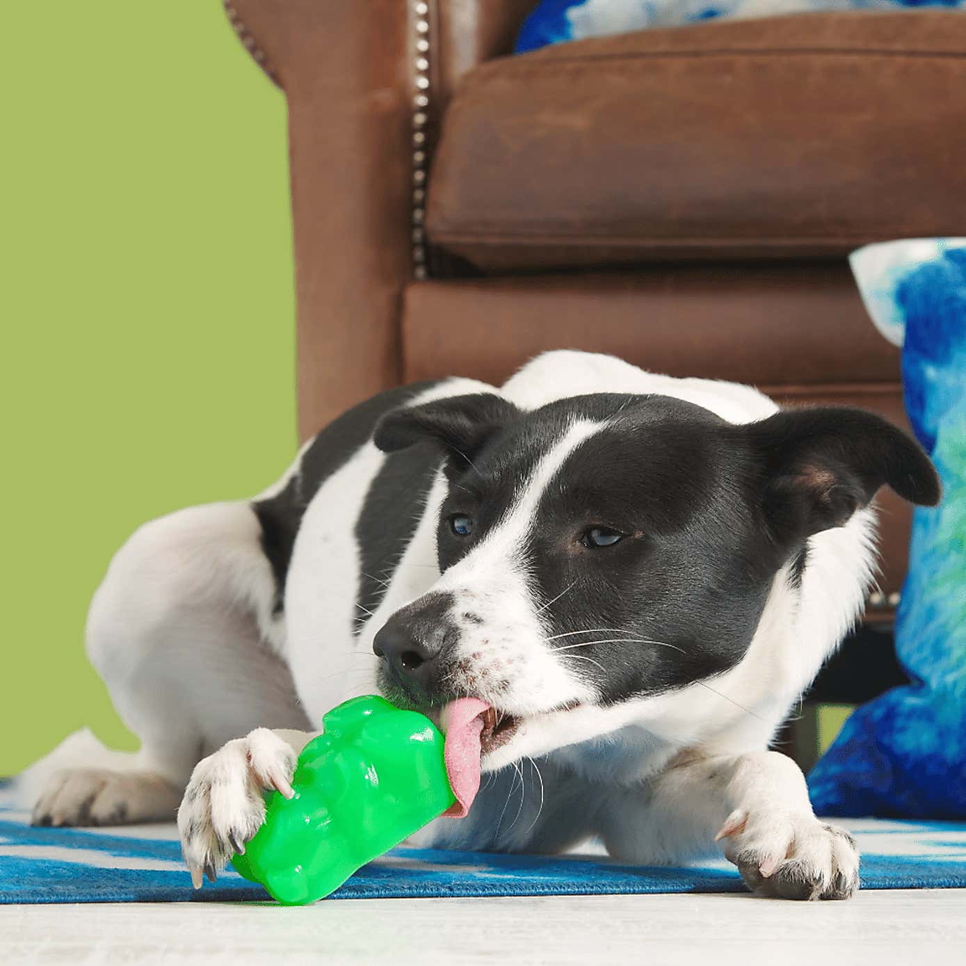 Carousel zoom image position 2 of 3