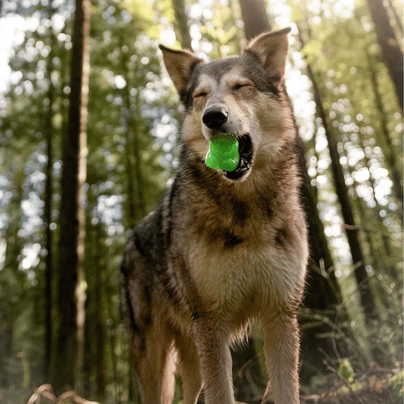 Carousel zoom image position 3 of 3