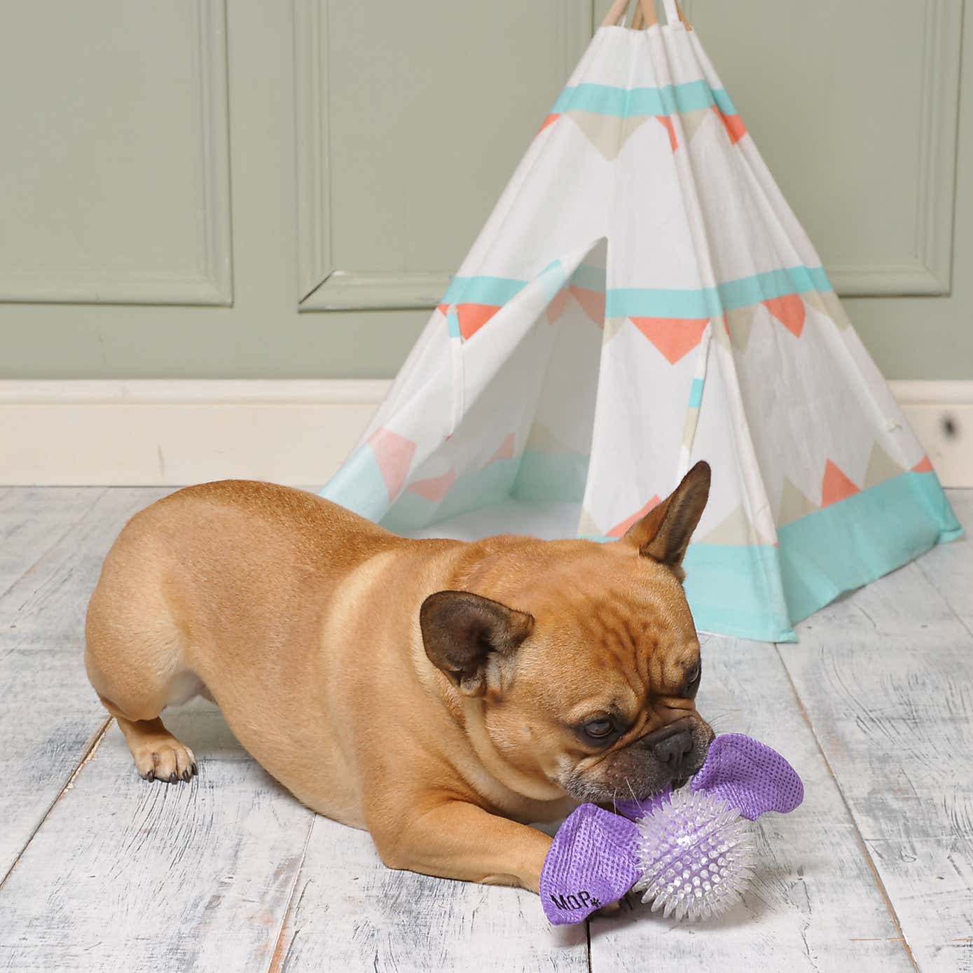 Carousel zoom image position 2 of 3