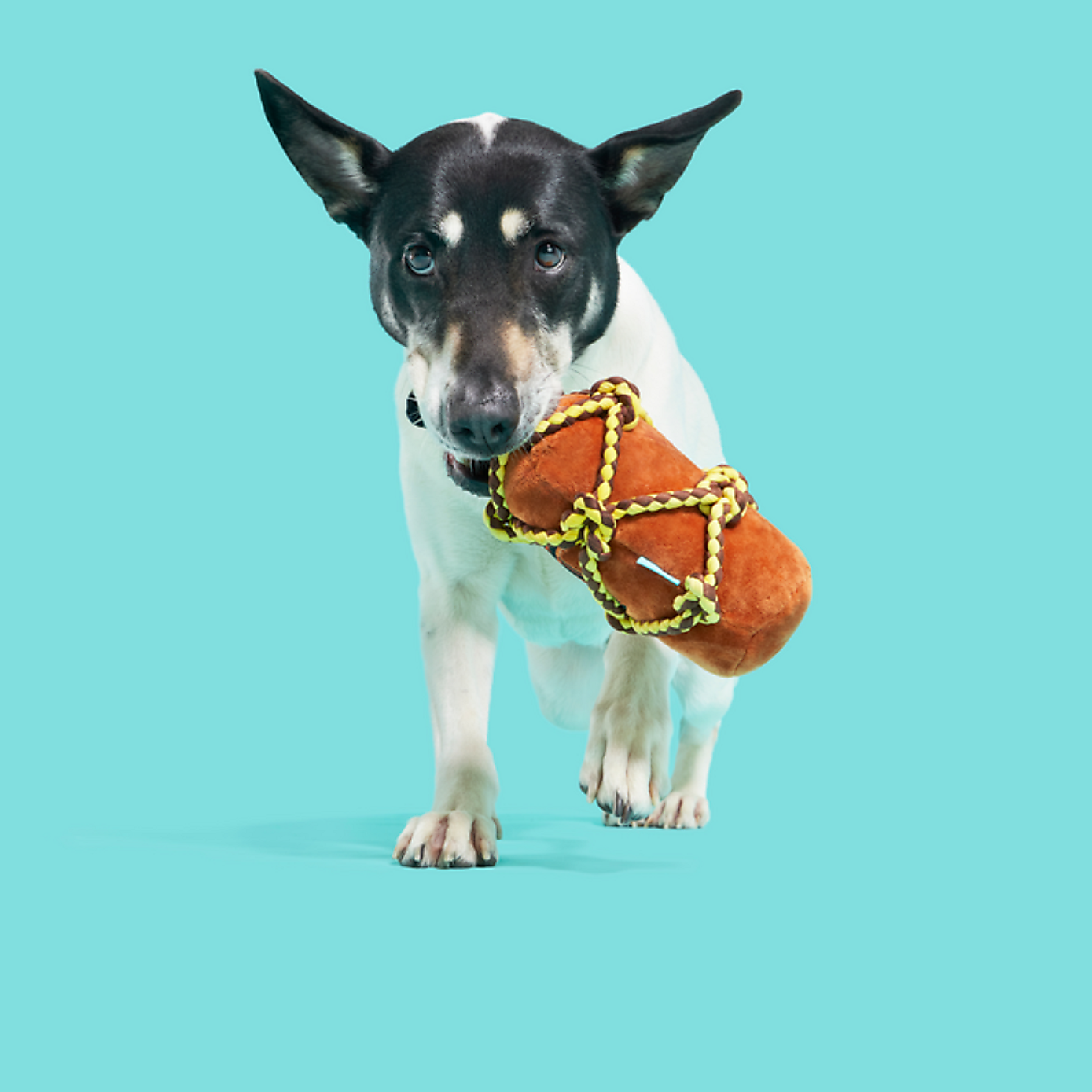 Carousel zoom image position 2 of 3