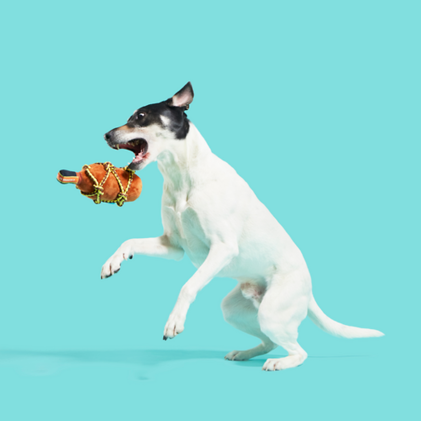 Carousel zoom image position 3 of 3