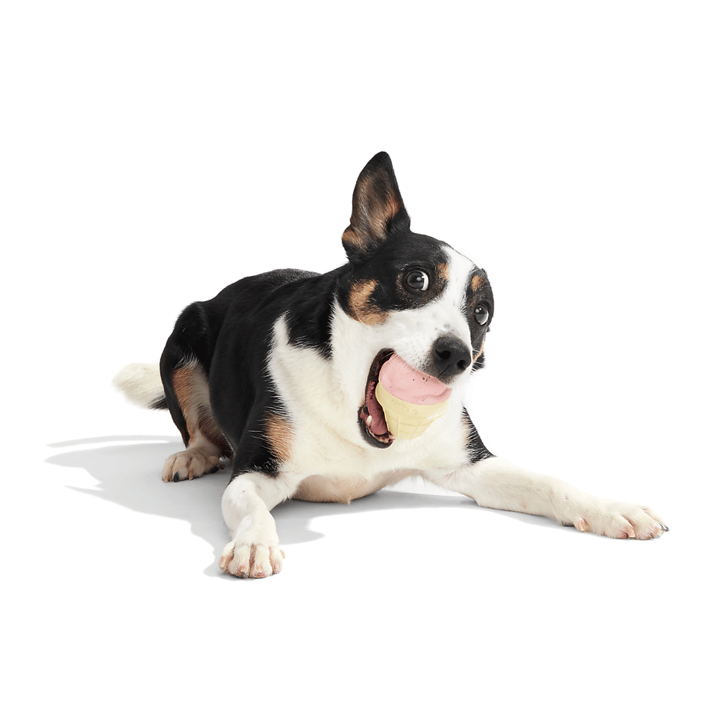 Carousel zoom image position 2 of 3