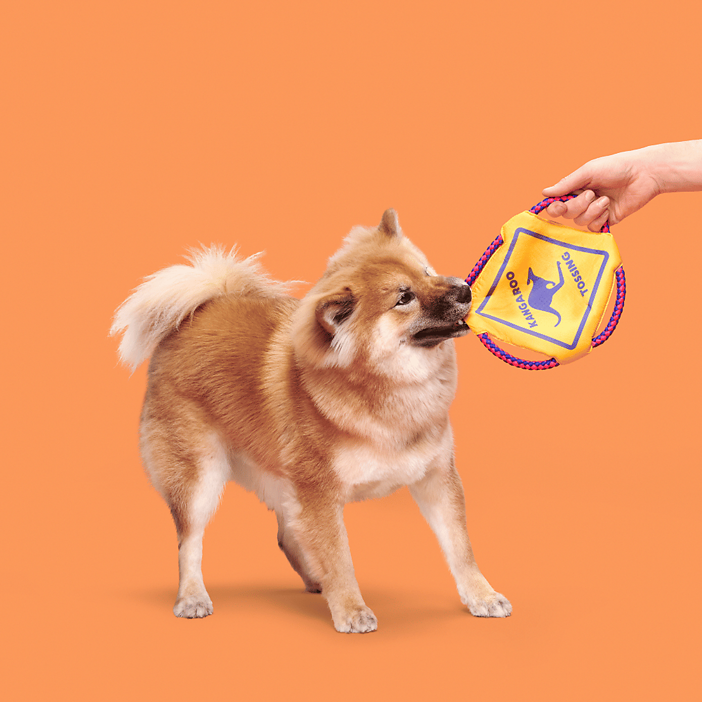 Carousel zoom image position 2 of 2