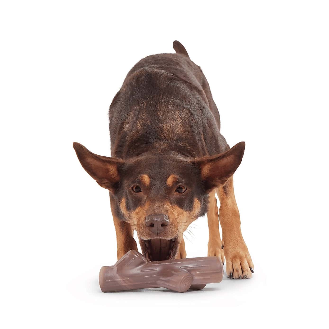 Carousel zoom image position 2 of 3