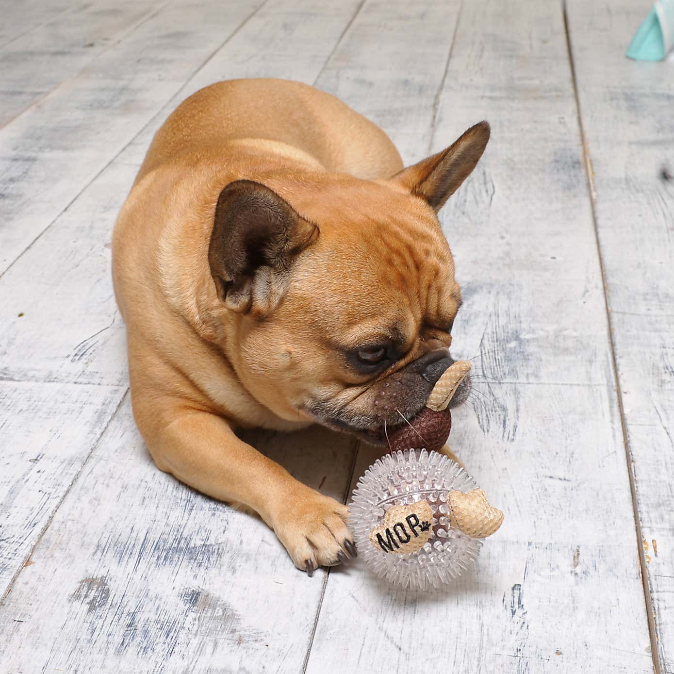 Carousel zoom image position 2 of 4