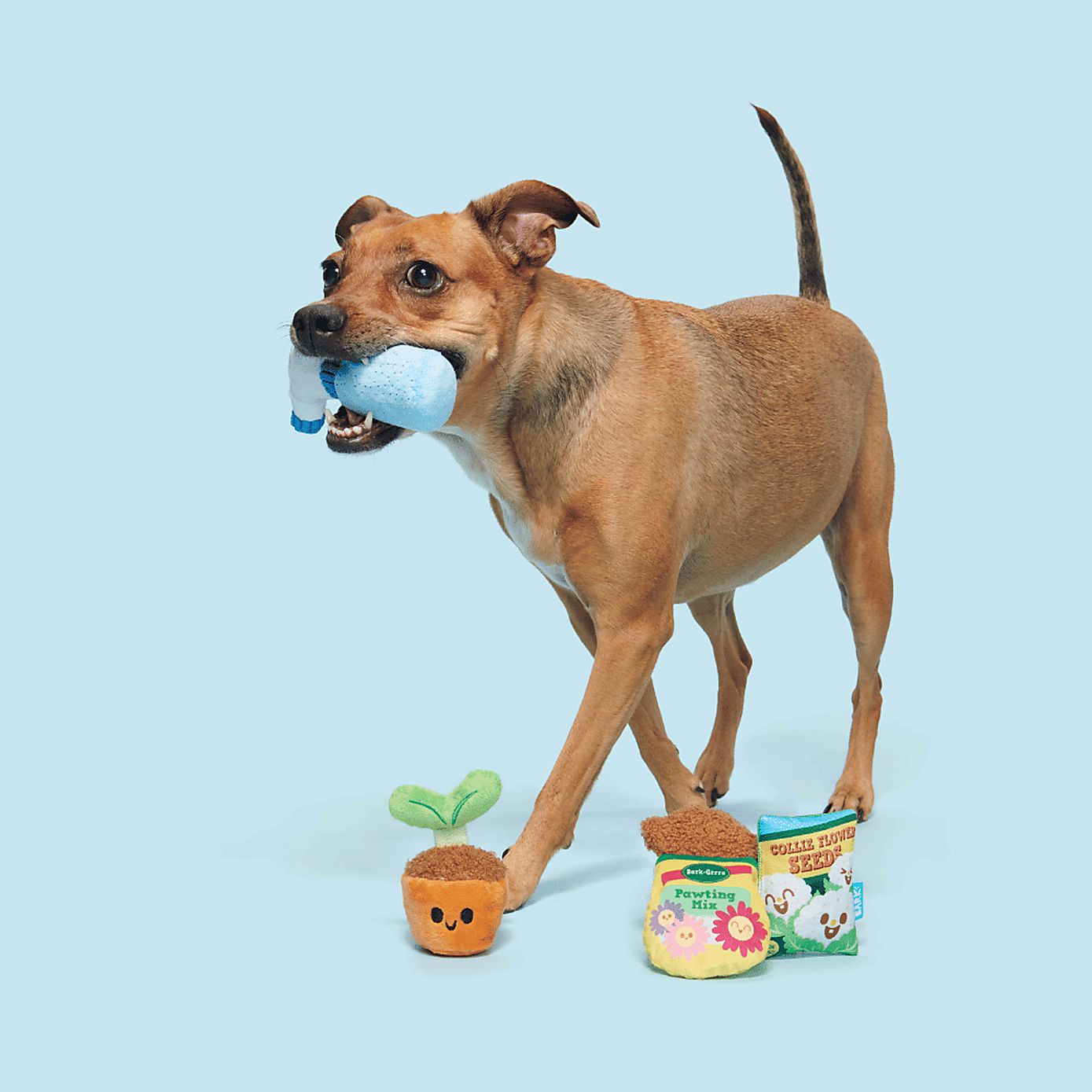 Carousel zoom image position 2 of 3