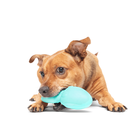 Carousel navigation image position 2 of 3