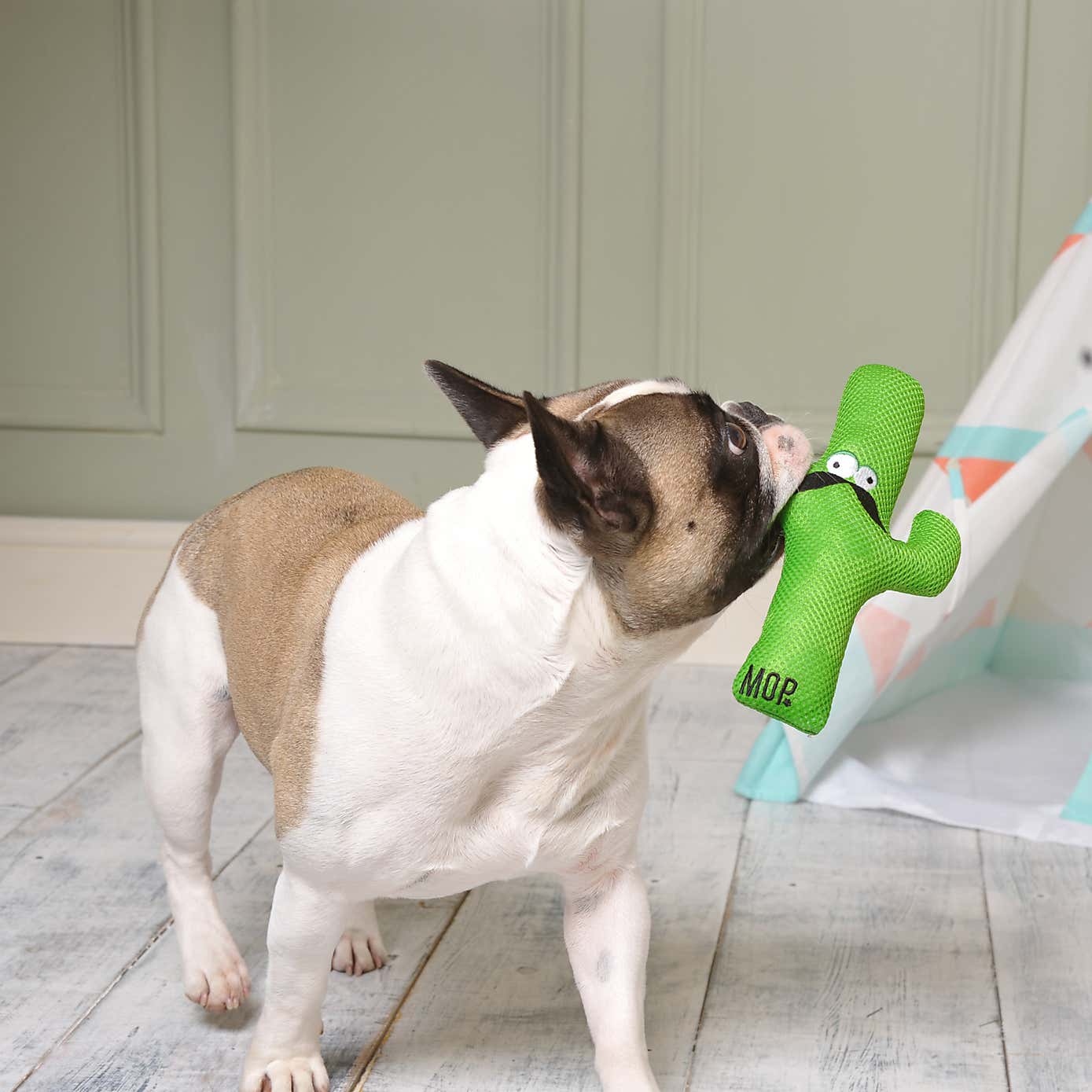 Carousel zoom image position 2 of 5