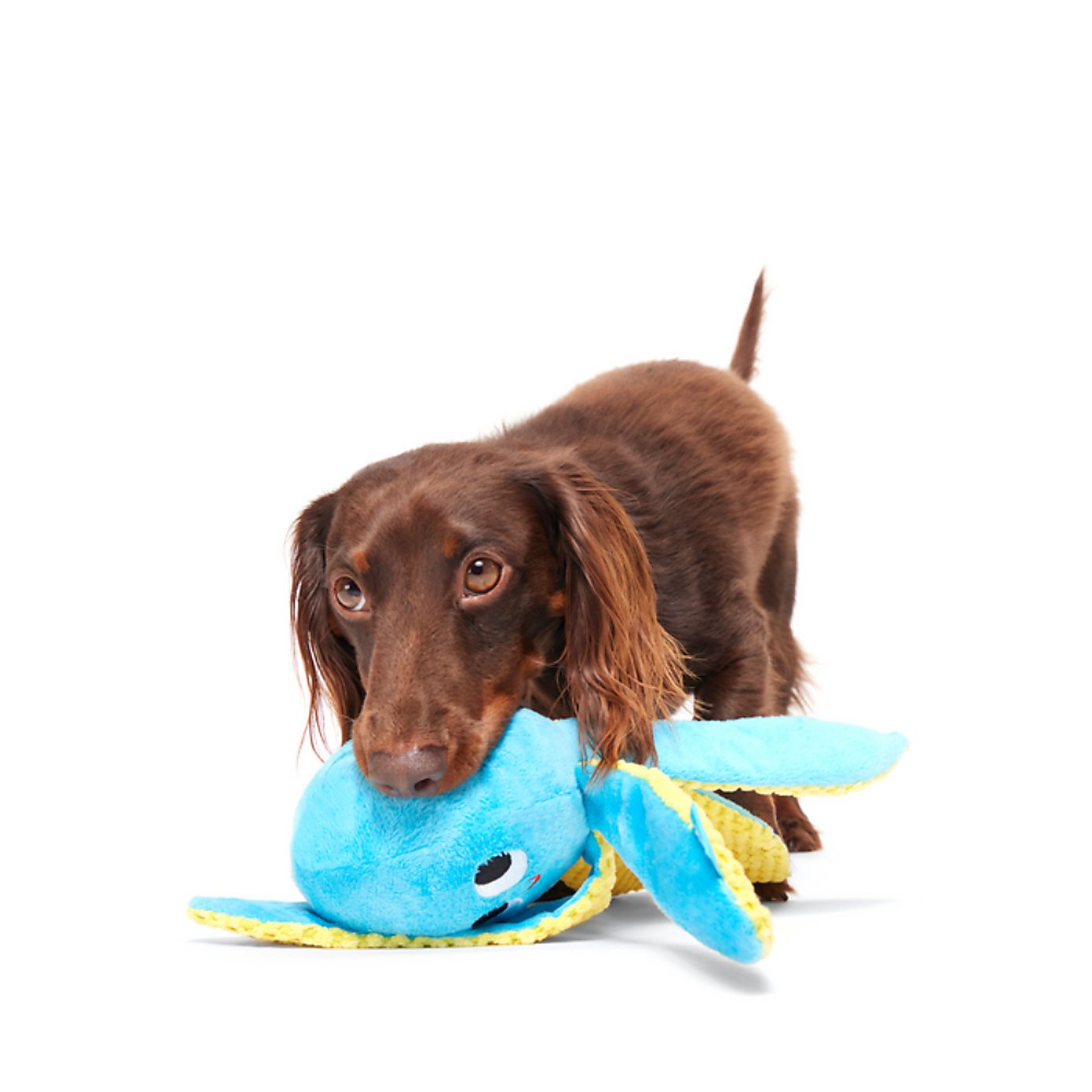 Carousel zoom image position 2 of 4