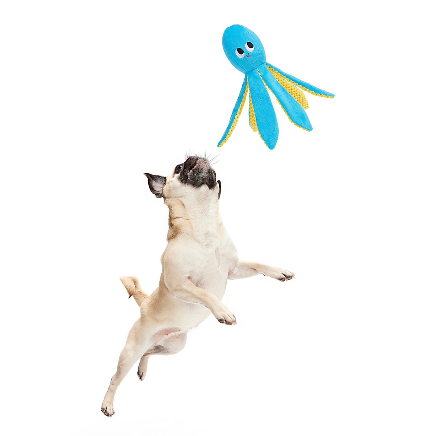 Carousel zoom image position 3 of 4