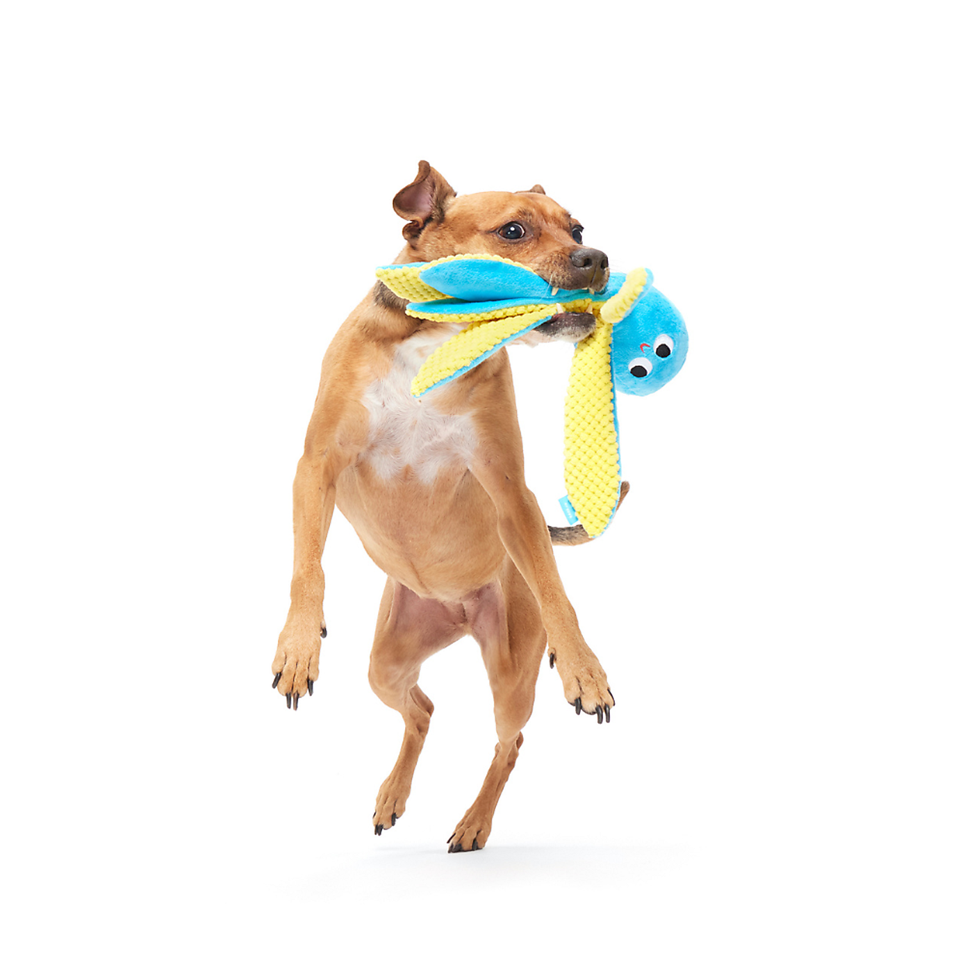 Carousel zoom image position 4 of 4