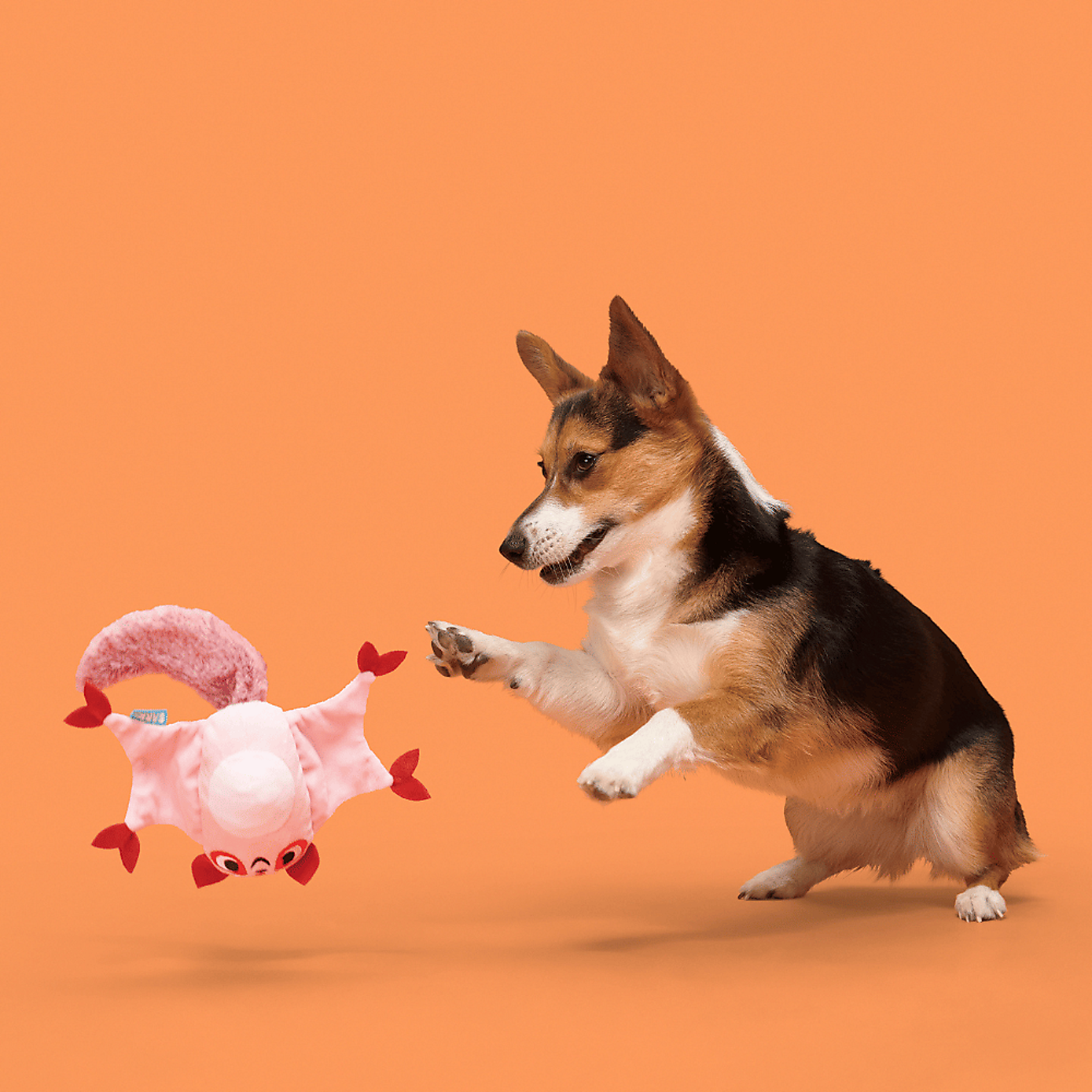 Carousel zoom image position 2 of 3