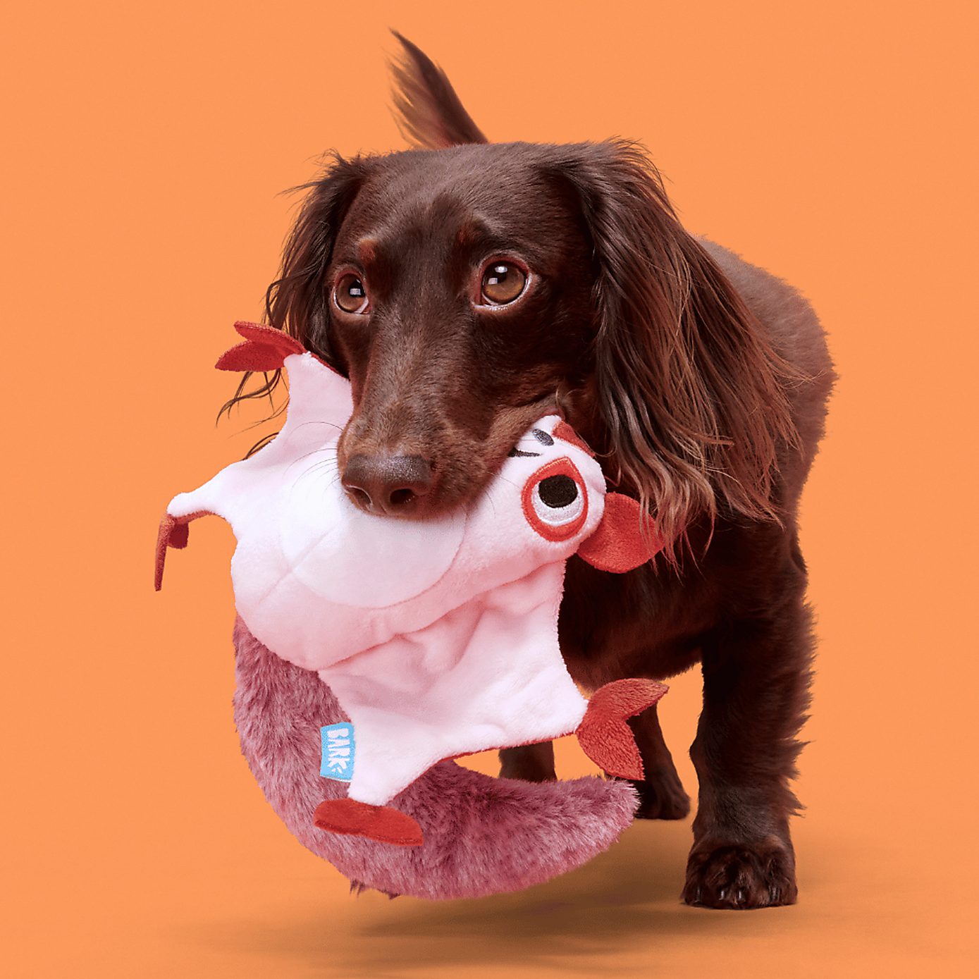 Carousel zoom image position 3 of 3