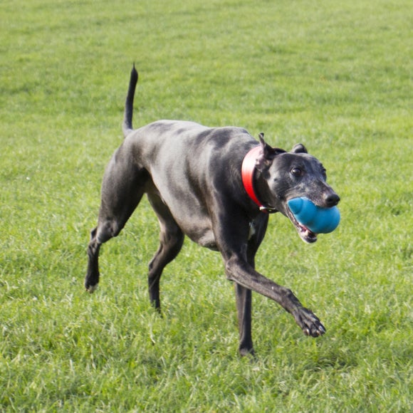 Carousel navigation image position 2 of 3