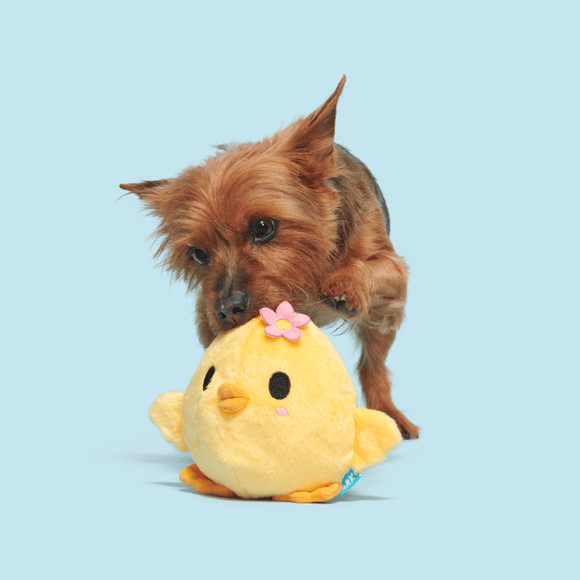 Bark Lil' Hennifer Plush Dog Toy