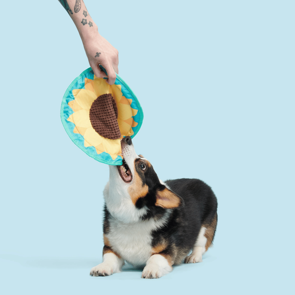 Carousel navigation image position 3 of 3