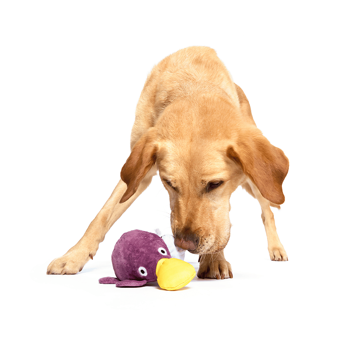 Carousel zoom image position 2 of 3