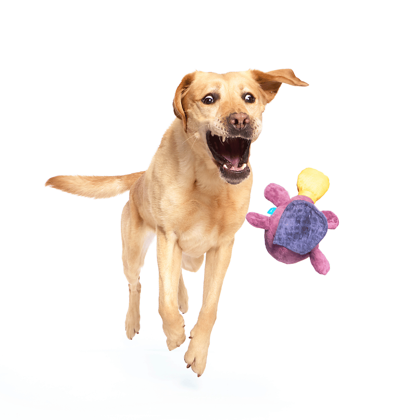 Carousel zoom image position 3 of 3