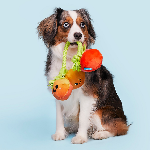 Carousel navigation image position 2 of 4