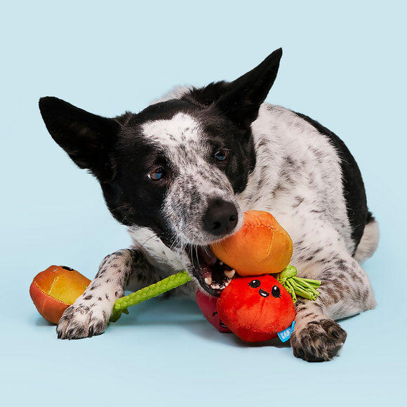 Carousel navigation image position 3 of 4