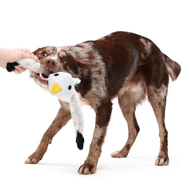 Carousel navigation image position 2 of 4