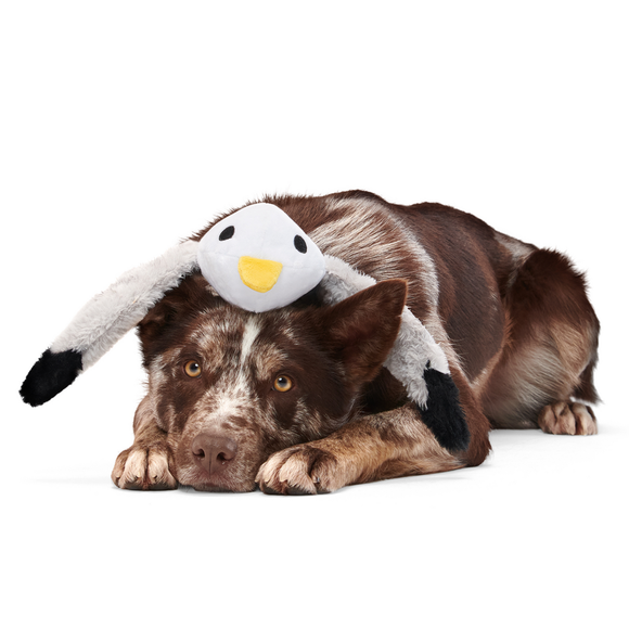 Carousel navigation image position 3 of 4