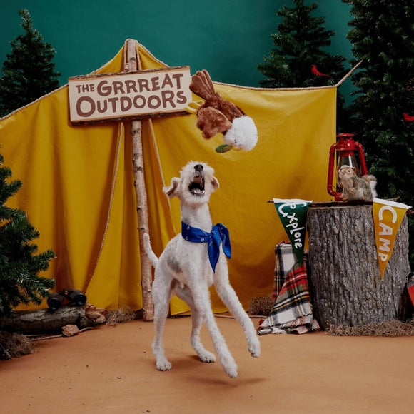 Carousel navigation image position 2 of 3