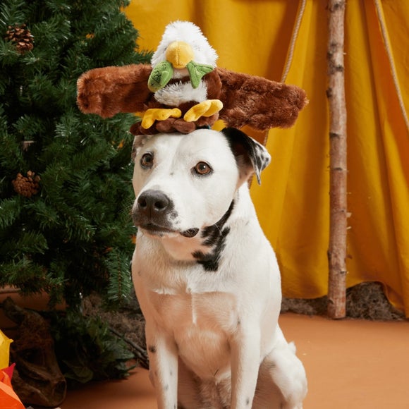 Carousel navigation image position 3 of 3