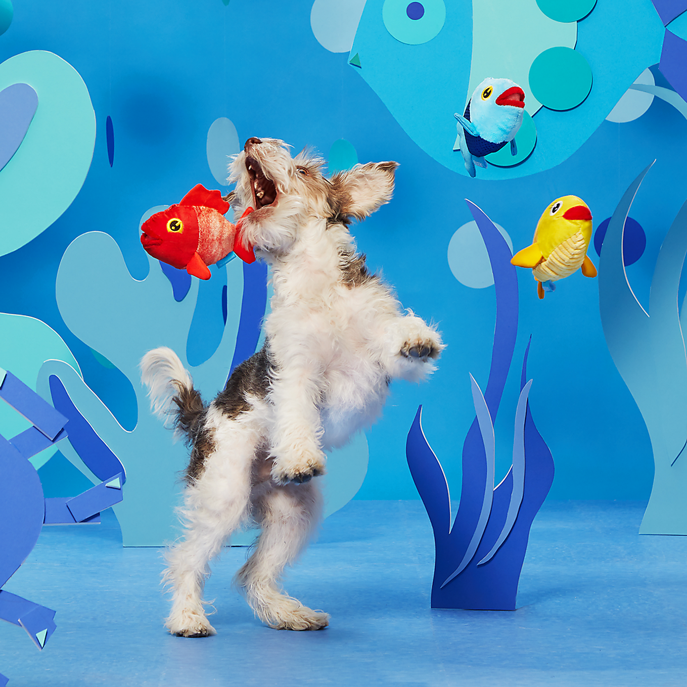 Carousel zoom image position 3 of 4