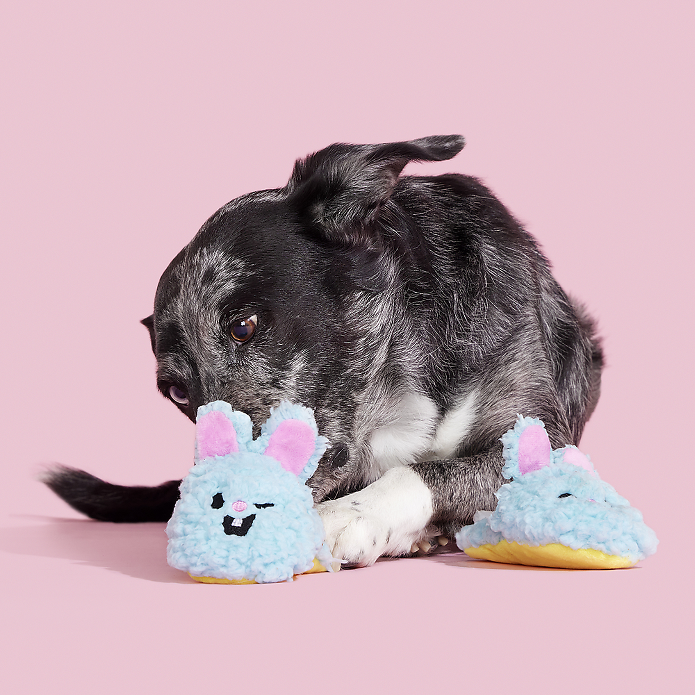 Carousel zoom image position 2 of 3