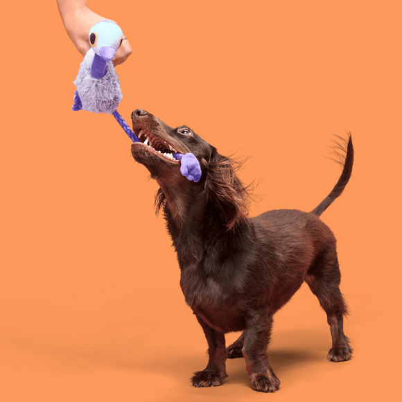 Carousel navigation image position 2 of 3