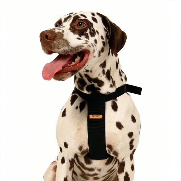 View Rac Jumbo Dog Car Harness View Rac Jumbo Dog Car Harness