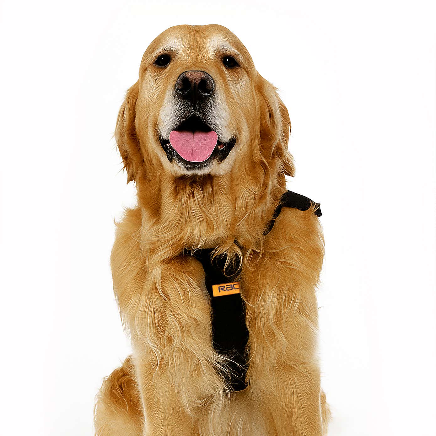 Carousel zoom image position 4 of 5